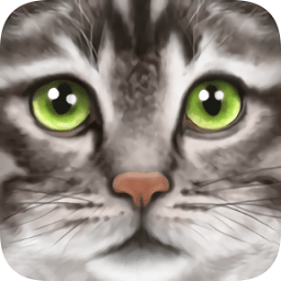 终极猫模拟器无限经验版 v1.1 安卓汉化版