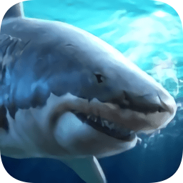 鲨鱼饿了手游 v1.0 安卓版