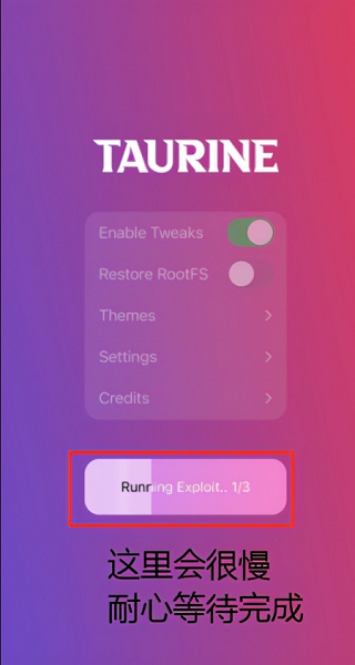 taurine越狱插件v1.0.2 苹果版(3)