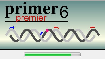 primer6最新版(1)