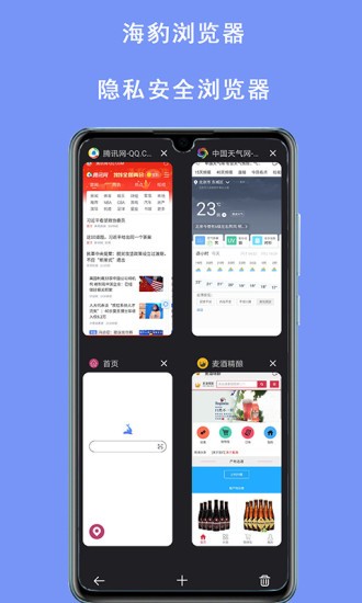 海豹浏览器app(2)