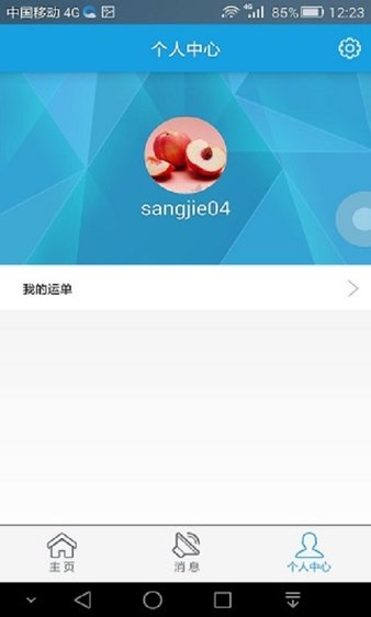 中储智运船运版app(3)