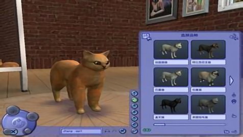 模拟人生2宠物当家手机版下载-psp模拟人生2宠物当家中文版v1.0.0 安卓版