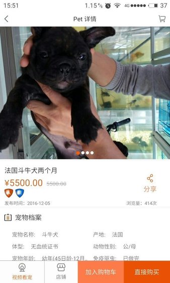 买宠物淘pet app