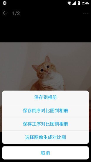 猫咪成长记app正式版v2.6.3(1)