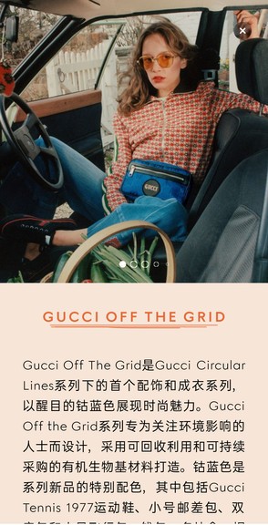 gucci古驰官方版(2)