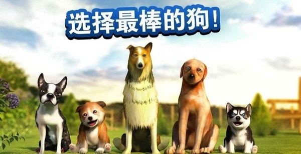 小狗模拟器中文版v2.2.2 安卓版(2)