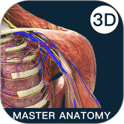 解剖大师最新版 v4.1.0