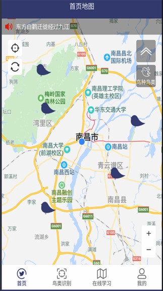图音识鸟app(3)