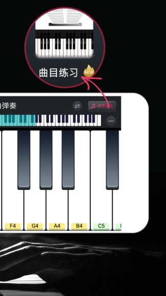 模拟钢琴appv25.5.49(2)