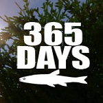 365days中文版