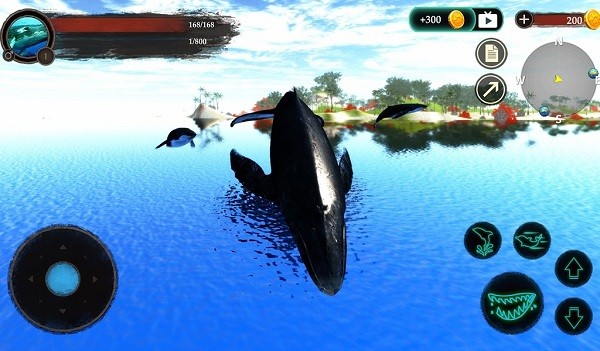 座头鲸模拟器v1.0.2 安卓版(2)