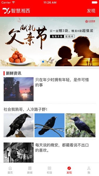 智慧湘西官方版(1)