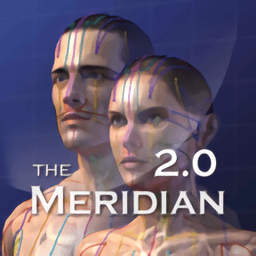 the meridian完整版(人体经络)