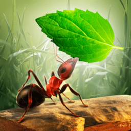 小蚂蚁部落手游