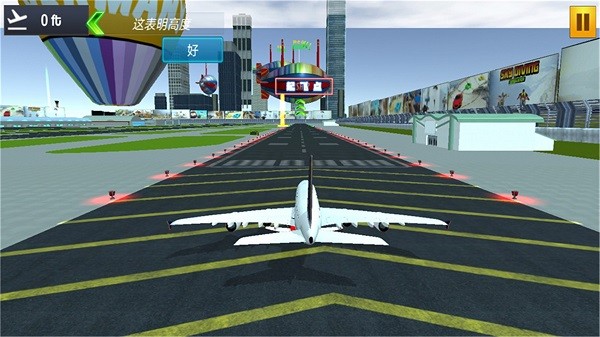 真实飞机模拟器中文版最新版(2)
