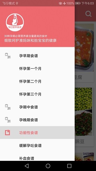 孕妇营养食谱app(2)