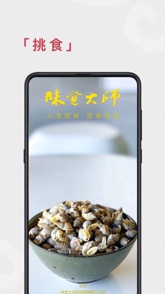 味觉大师appv4.0.7 安卓版(3)