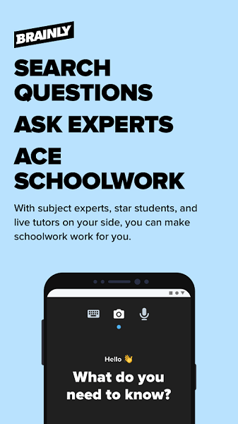 brainly app(3)