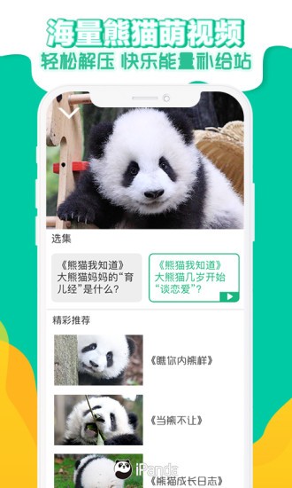熊猫频道appv2.2.3(2)