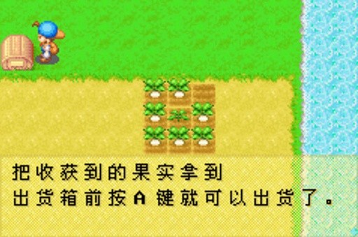 牧场物语矿石镇的伙伴们中文版pc版(1)