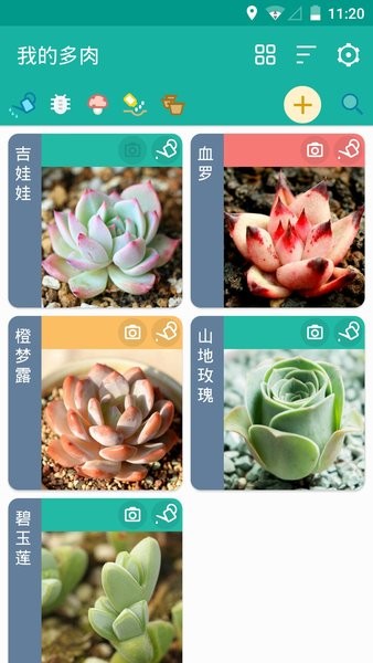 多肉成长记手机版(2)