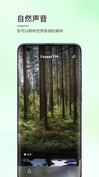 森林白噪音软件v1.0.1(3)