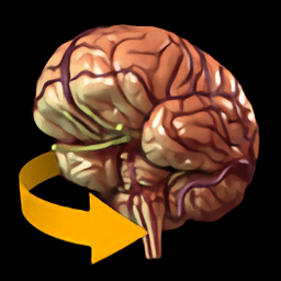 3d脑部解剖app(brain 3d)