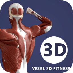维萨里健身app