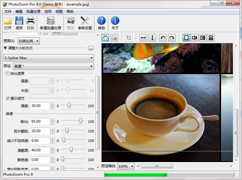 benvista photozoom pro免费版(无损放大软件)v8.0.6 pc版(1)