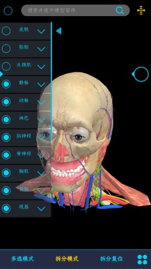 医维度解剖软件v3.1.1(2)