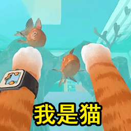 貓咪喵喵喵
