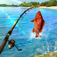 釣魚大對決