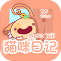 貓咪生存日記