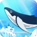 我的小水族館