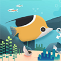 水族館之謎