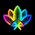宝莲灯pro v5.1.13安卓版