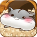 仓鼠的生活 v4.7.7安卓版