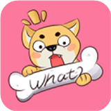 汪特 v2.4.0安卓版