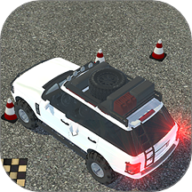 真實模擬司機駕駛 v1.0.0安卓版