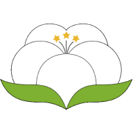 紗纖億 v2.5.2安卓版