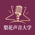 梨花声音大学