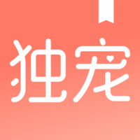 獨寵小說