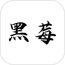 黑莓小說閱讀器