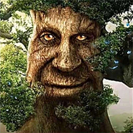 戰地王者精英