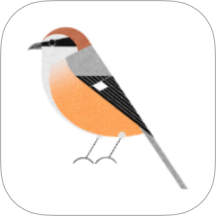 孤独的鸟类大全 v1.4安卓版