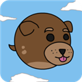 动物飞行大作战 v5.3.5
