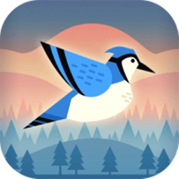 蹦跳小鸟 v1.0.0