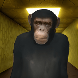 Gmod躲猫猫追逐 v1.0