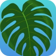 植物疗愈纽约时光 v250312.13安卓版